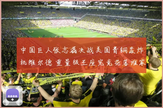 中国巨人张志磊决战美国青铜轰炸机维尔德 重量级王座究竟花落谁家