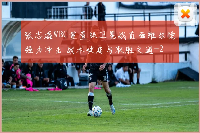 张志磊WBC重量级卫冕战直面维尔德强力冲击 战术破局与取胜之道