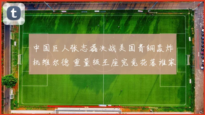 中国巨人张志磊决战美国青铜轰炸机维尔德 重量级王座究竟花落谁家