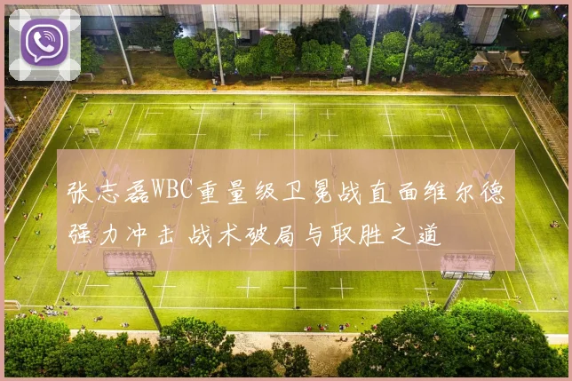 张志磊WBC重量级卫冕战直面维尔德强力冲击 战术破局与取胜之道